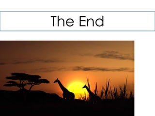 The End 