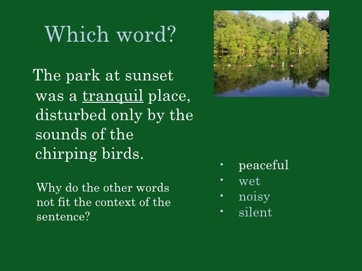 best 28 why do birds chirp at dusk bto bird id best 28 why do birds chirp at dusk bto bird id