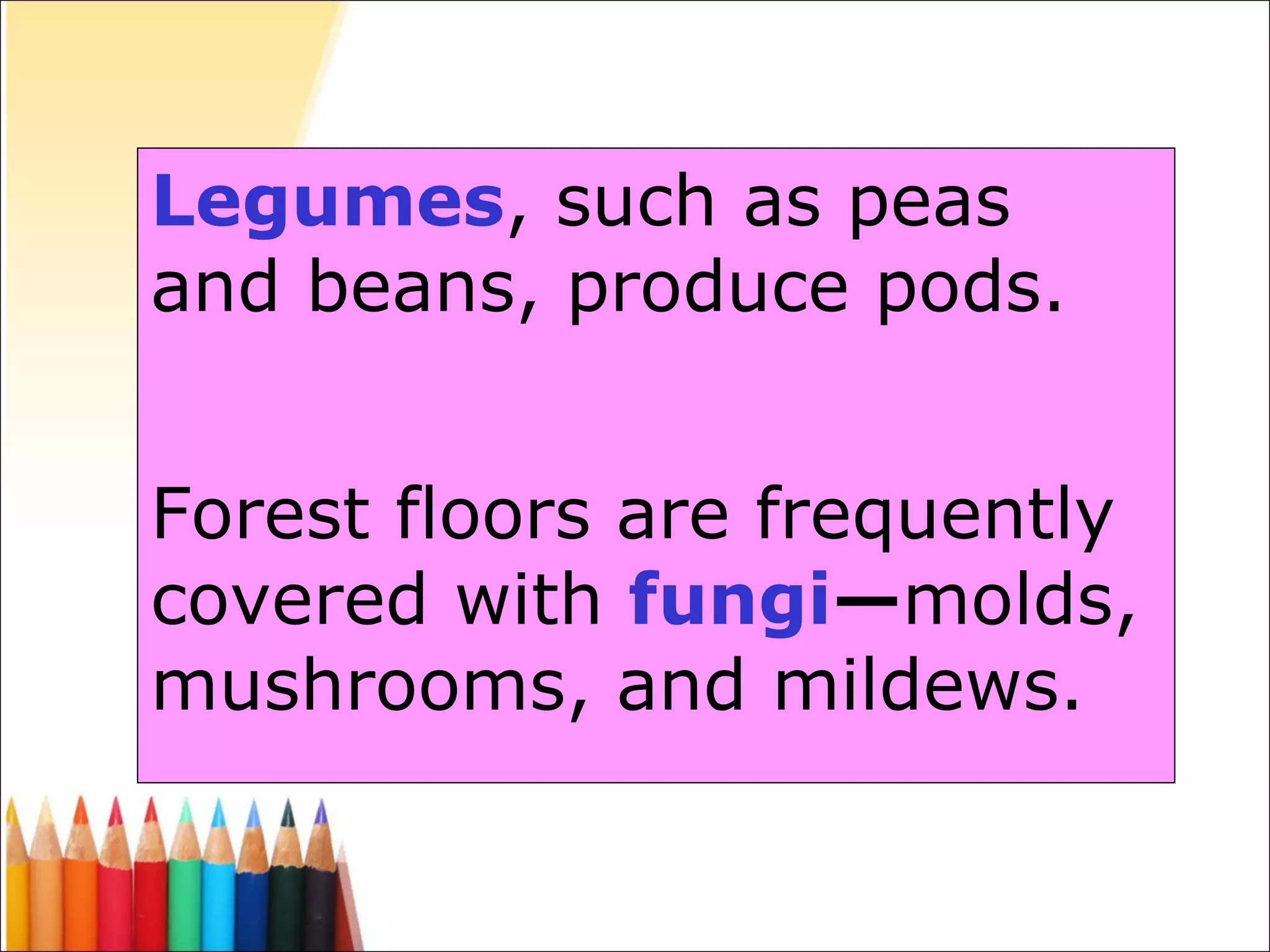 Legumes , such as peas and beans, produce pods. Forest floors are frequently covered with  fungi — molds, mushrooms, and mildews. 