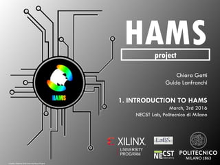 1
HAMSproject
Chiara Gatti
Guido Lanfranchi
1. INTRODUCTION TO HAMS
March, 3rd 2016
NECST Lab, Politecnico di Milano
Credits: Shahriar Emil from the Noun Project
 