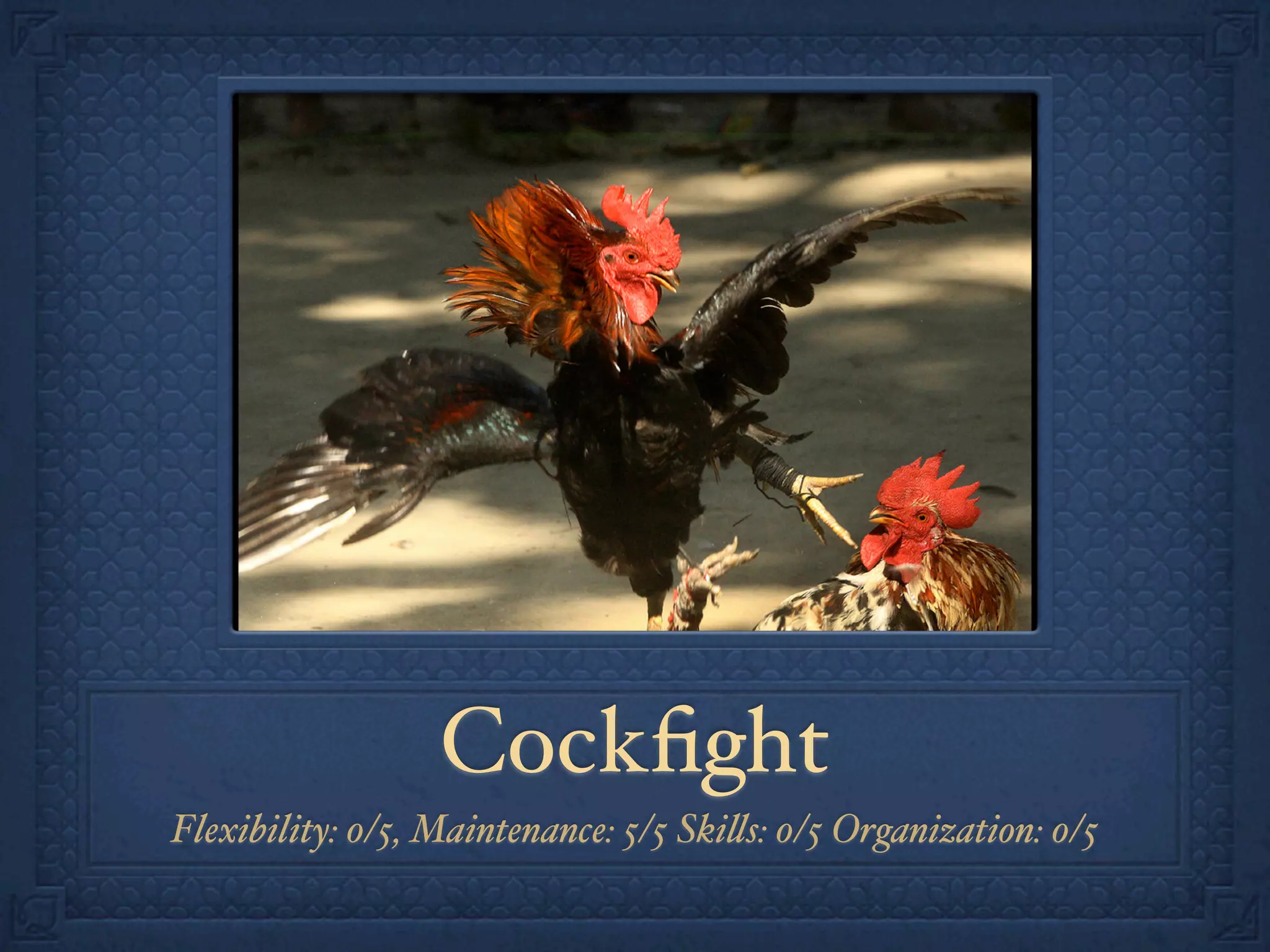 Cockﬁght
Flexibility: 0/5, Maintenance: 5/5 Ski!s: 0/5 Organization: 0/5
 