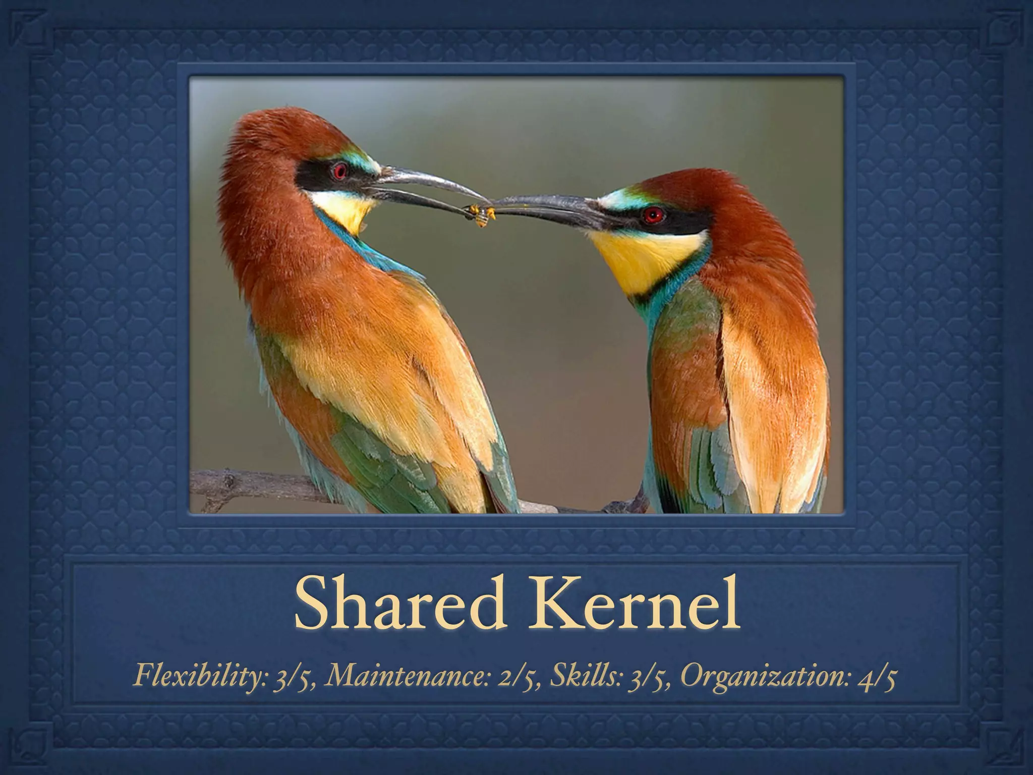 Shared Kernel
Flexibility: 3/5, Maintenance: 2/5, Ski!s: 3/5, Organization: 4/5
 
