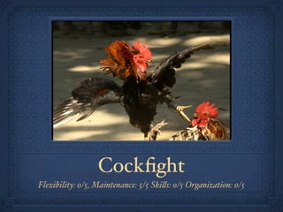 Cockﬁght
Flexibility: 0/5, Maintenance: 5/5 Ski!s: 0/5 Organization: 0/5
 