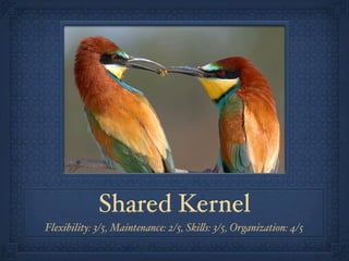 Shared Kernel
Flexibility: 3/5, Maintenance: 2/5, Ski!s: 3/5, Organization: 4/5
 
