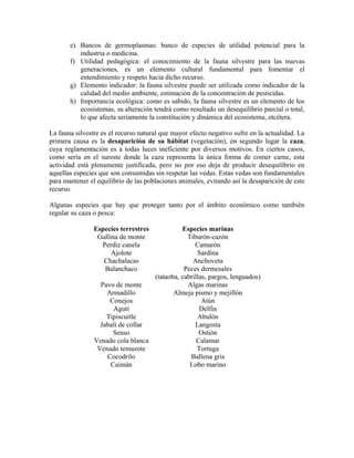 e) Bancos de germoplasmas: banco de especies de utilidad potencial para la 
industria o medicina. 
f) Utilidad pedagógica: el conocimiento de la fauna silvestre para las nuevas 
generaciones, es un elemento cultural fundamental para fomentar el 
entendimiento y respeto hacia dicho recurso. 
g) Elemento indicador: la fauna silvestre puede ser utilizada como indicador de la 
calidad del medio ambiente, estimación de la concentración de pesticidas. 
h) Importancia ecológica: como es sabido, la fauna silvestre es un elemento de los 
ecosistemas, su alteración tendrá como resultado un desequilibrio parcial o total, 
lo que afecta seriamente la constitución y dinámica del ecosistema, etcétera. 
La fauna silvestre es el recurso natural que mayor efecto negativo sufre en la actualidad. La 
primera causa es la desaparición de su hábitat (vegetación), en segundo lugar la caza, 
cuya reglamentación es a todas luces ineficiente por diversos motivos. En ciertos casos, 
como sería en el sureste donde la caza representa la única forma de comer carne, esta 
actividad está plenamente justificada, pero no por eso deja de producir desequilibrio en 
aquellas especies que son consumidas sin respetar las vedas. Estas vedas son fundamentales 
para mantener el equilibrio de las poblaciones animales, evitando así la desaparición de este 
recurso. 
Algunas especies que hay que proteger tanto por el ámbito económico como también 
regular su caza o pesca: 
Especies terrestres Especies marinas 
Gallina de monte Tiburón-cazón 
Perdiz canela Camarón 
Ajolote Sardina 
Chachalacas Anchoveta 
Balanchaco Peces dermesales 
(tataoba, cabrillas, pargos, lenguados) 
Pavo de monte Algas marinas 
Armadillo Almeja pismo y mejillón 
Conejos Atún 
Agutí Delfín 
Tipiscuitle Abulón 
Jabalí de collar Langosta 
Senso Ostión 
Venado cola blanca Calamar 
Venado temazote Tortuga 
Cocodrilo Ballena gris 
Caimán Lobo marino 
 