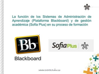 Contexto de formacion