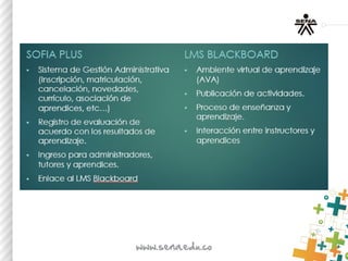 Contexto de formacion