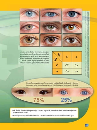 241
Sendo a cor castanha dominante, ou seja, a
corcastanhaprevalecendomesmoquehaja
um gene da cor azul, tanto Marcos quanto
Beatriz podem ter a combinação de genes
CC ou Ca. Assim, as possibilidades de com-
binação dos seus genes na fecundação são:
1. De acordo com a árvore genealógica, qual é o grau de parentesco entre Marcos e as pessoas
que têm olhos azuis?
2. É mais provável que o bebê de Marcos e Beatriz tenha olhos azuis ou castanhos? Por quê?
♀
C a
CC Ca
Ca
♂
C
a aa
Crédito
das
fotos
da
esquerda
para
a
direita:
Malyugin/Shutterstock/Glow
Images,
Altafulla/Shutterstock/Glow
Images,
Yuri
Arcurs/Shutterstock/
Glow
Images
(olhos
azuis);
Remy
Musser/Shutterstock/Glow
Images,
Wallenrock/Shutterstock/Glow
Images,
Pressmaster/Shutterstock/Glow
Images
(olhos
verdes);
Rocketclips/Shutterstock/Glow
Images,
Inga
Ivanova/Shutterstock/Glow
Images,
ZouZou/Shutterstock/Glow
Images
(olhos
castanhos).
Dessa forma, podemos afirmar que a probabilidade de Beatriz e Marcos
terem um bebê com olhos castanhos é de 75% e com olhos azuis é de 25%.
Szefei/Shutterstock/Glow Images Yuri Arcurs/Shutterstock/Glow Images
Contexto_e_Aplicações_Matematica_V2_PNLD2015_240a241_U4.indd 241 5/6/13 9:59 AM
 