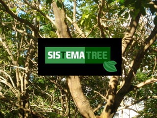 SISTEMA TREE_Contexto e conceito