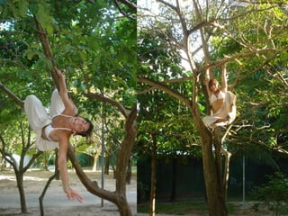 SISTEMA TREE_Contexto e conceito