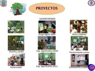 PROYECTOS
GIGANTURISMO
Surge Agost 2009
Exp. Significativa 2010
Exp. Significativa 2011
Huerta y Jardín
Huilensidad
Ética y Valores
Florecimiento Lector
Convivencia Ciudadana
 