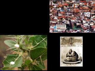  Sociologia- Pensadores da Sociologia -Prof.Altair Aguilar. 