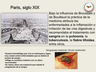 Paris, siglo XIX
                                              Bajo la influencia de Broussais y
                                              de Bouillaud la práctica de la
                                              medicina atribuía las
                                              enfermedades a la inflamación o
                                              irritación de las vías digestivas y
                                              recomendaba el tratamiento con
                                              sangría en la pulmonía, la
                                              tuberculosis, la fiebre tifoidea,
                                              entre otros.
                                           Sanguijuela medicinal- Hirudo medicinalis
•Gusano hematófago que vive en estanques y lagos
muy usada contra enfermedades que se debían al
exceso de sangre.
•Inflige un mordisco indoloro con un disco
•succionador.
•Su saliva, tiene una sustancia que impide la
coagulación de la sangre.
 