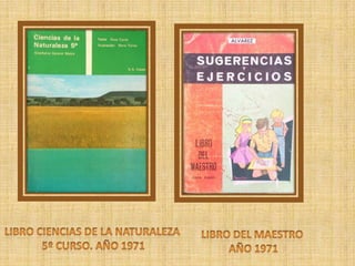 Contexto histórico raimunda díaz