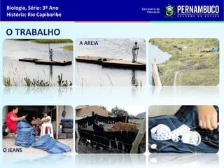 Biologia, Série: 3º Ano
História: Rio Capibaribe
O TRABALHO
A AREIA
O JEANS
 