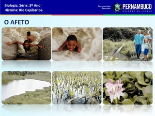 Biologia, Série: 3º Ano
História: Rio Capibaribe
O AFETO
 