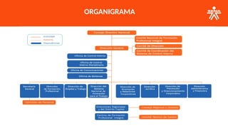 ORGANIGRAMA
 