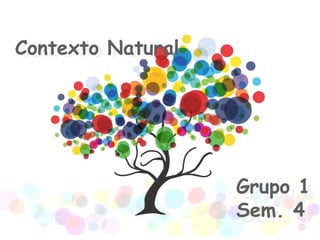 Contexto Natural
Contexto Natural




                   Grupo 1
                   Grupo 1
                   Sem. 4
                   Sem. 4
 