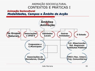 da ANIMAÇÃO SOCIOCULTURAL CONTEXTOS E PRÁTICAS I Animação Sociocultural  Modalidades, Campos e Âmbito de Acção  Âmbitos  Animação Os Grupos Naturais Associações e IPSS’S Entidades Locais Outras Entidades O Estado Freguesias e C.Municipais Associações de Moradores, Clubes S.C. Misericordia Del. Regionais Institutos Públicos ONG’s Nac. Intern. Proj. Comunitários 