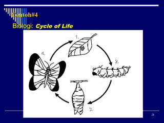 Contoh#4
Biologi: Cycle of Life
1.
4.
2.

3.
24

 