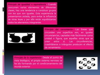 Principio de igualdad o equivalencia- Cuando
concurren varios elementos de diferentes
clases, hay una tendencia a constituir grupos
con los que son iguales. Esta experiencia la
presentamos aislada, para evitar la influencia
de otras leyes y por ello están equidistantes
todos los elementos integrantes
Principio del cerramiento- Las líneas que
circundan una superficie son, en iguales
circunstancias, captadas más fácilmente como
unidad o figura, que aquellas otras que se
unen entre sí. Las circunferencias,
cuadriláteros o triángulos producen el efecto
de cerramiento
Principio de la experiencia- Desde el punto de
vista biológico, el propio sistema nervioso se
ha ido formando por el condicionamiento del
mundo exterior
 