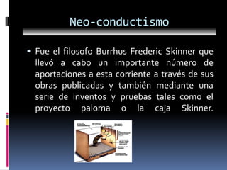 Neo-conductismo
 Fue el filosofo Burrhus Frederic Skinner que
llevó a cabo un importante número de
aportaciones a esta corriente a través de sus
obras publicadas y también mediante una
serie de inventos y pruebas tales como el
proyecto paloma o la caja Skinner.
 
