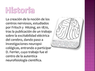 La creación de la noción de los
centros nerviosos, estudiados
por Fritsch y Hitzing, en 1870,
tras la publicación de un trabajo
sobre la excitabilidad eléctrica
del cerebro, dando paso a
investigaciones neuropsi-
cológicas, entrando a participar
D. Ferrier, cuyo trabajo fue el
centro de la autentica
neurofisiología científica.
 
