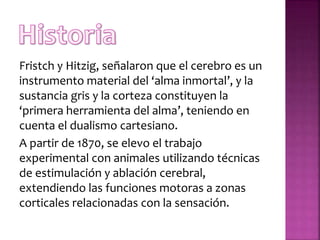 Fristch y Hitzig, señalaron que el cerebro es un
instrumento material del ‘alma inmortal’, y la
sustancia gris y la corteza constituyen la
‘primera herramienta del alma’, teniendo en
cuenta el dualismo cartesiano.
A partir de 1870, se elevo el trabajo
experimental con animales utilizando técnicas
de estimulación y ablación cerebral,
extendiendo las funciones motoras a zonas
corticales relacionadas con la sensación.
 