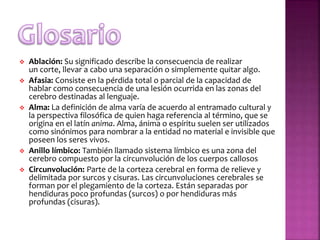  Ablación: Su significado describe la consecuencia de realizar
un corte, llevar a cabo una separación o simplemente quitar algo.
 Afasia: Consiste en la pérdida total o parcial de la capacidad de
hablar como consecuencia de una lesión ocurrida en las zonas del
cerebro destinadas al lenguaje.
 Alma: La definición de alma varía de acuerdo al entramado cultural y
la perspectiva filosófica de quien haga referencia al término, que se
origina en el latín anima. Alma, ánima o espíritu suelen ser utilizados
como sinónimos para nombrar a la entidad no material e invisible que
poseen los seres vivos.
 Anillo límbico: También llamado sistema límbico es una zona del
cerebro compuesto por la circunvolución de los cuerpos callosos
 Circunvolución: Parte de la corteza cerebral en forma de relieve y
delimitada por surcos y cisuras. Las circunvoluciones cerebrales se
forman por el plegamiento de la corteza. Están separadas por
hendiduras poco profundas (surcos) o por hendiduras más
profundas (cisuras).
 