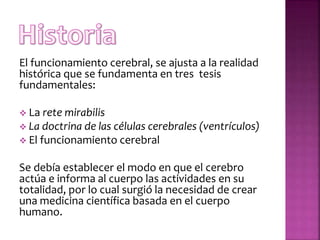 El funcionamiento cerebral, se ajusta a la realidad
histórica que se fundamenta en tres tesis
fundamentales:
 La rete mirabilis
 La doctrina de las células cerebrales (ventrículos)
 El funcionamiento cerebral
Se debía establecer el modo en que el cerebro
actúa e informa al cuerpo las actividades en su
totalidad, por lo cual surgió la necesidad de crear
una medicina científica basada en el cuerpo
humano.
 