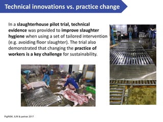 Contextualization nutrition food system and food safety issues in Vietnam