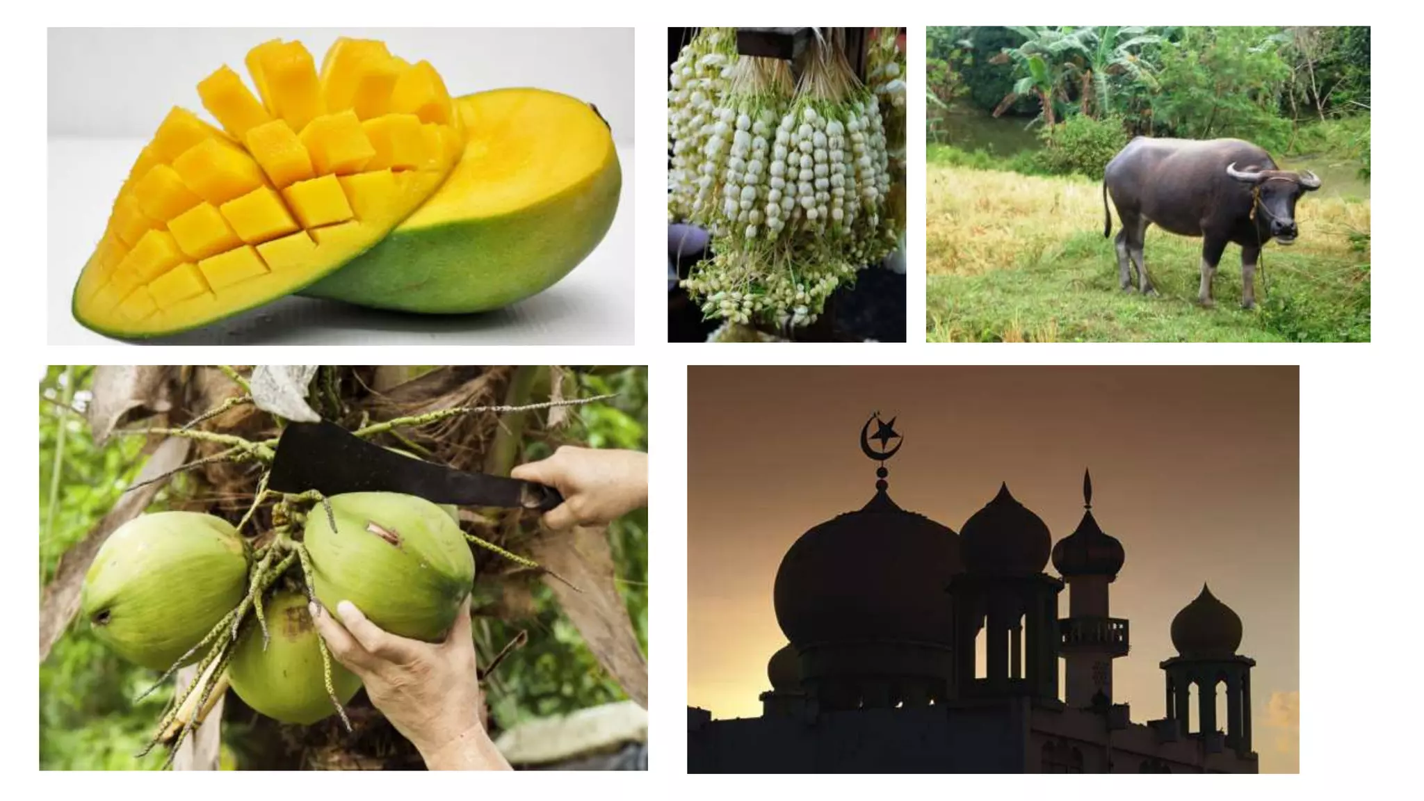 Contextualize Lesson Plan | PPTX