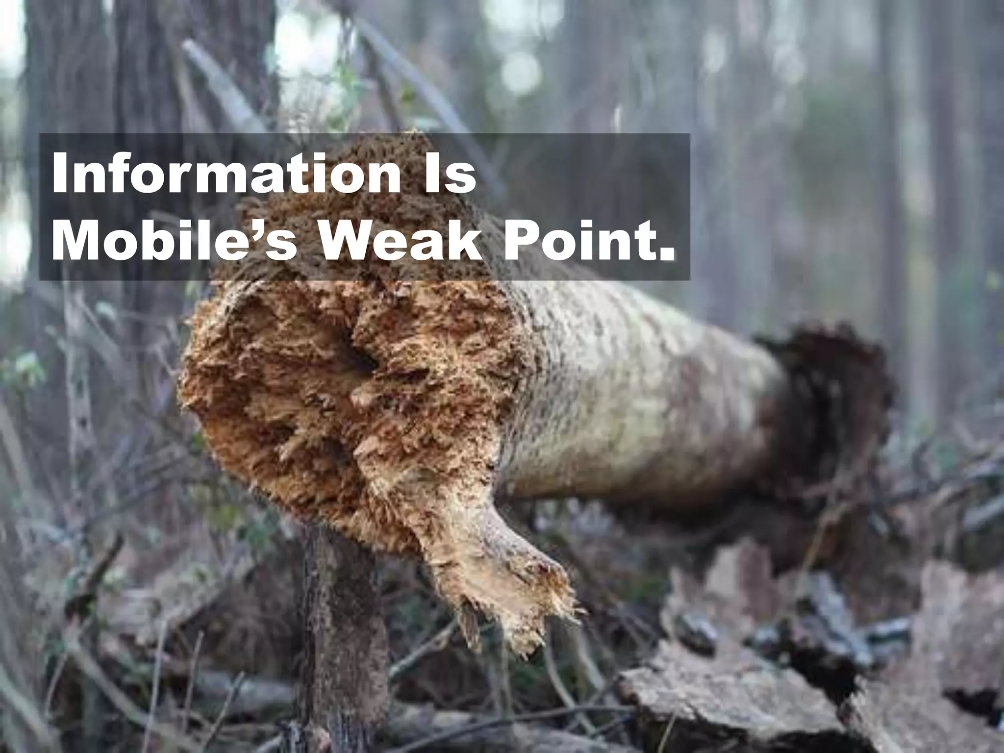 Information IsMobile’s Weak Point. 