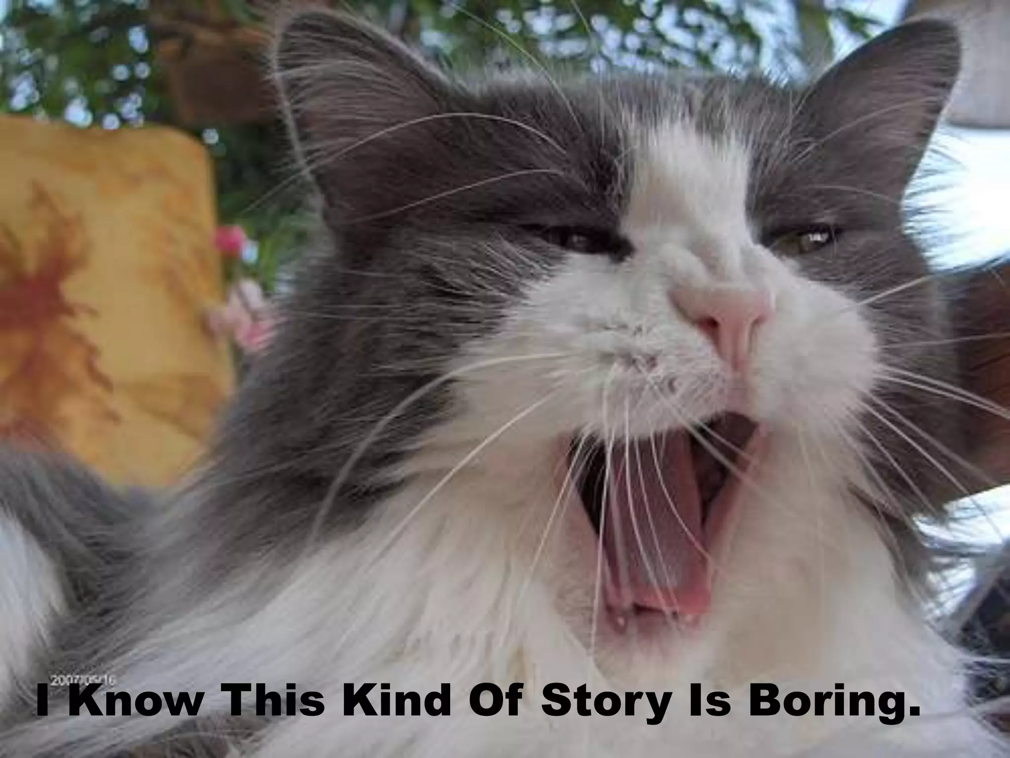 I Know This Kind Of Story Is Boring. 