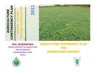 AGRICULTURE CONTINGENCY PLAN FOR                                       KENDRAPARA DISTRICTKVK, KENDRAPARA                                         ORISSA UNIVERSITY OF AGRICULTURE AND TECHNOLOGY             BHUBANESWAR-751003                Odisha  <br />KRISHI  VIGYAN KENDRA, KENDRAPARA2011   AGRICULTURE CONTINGENCY PLAN  <br />666432548101253378204810125-395620-612302<br />  State: ODISHA<br />Agriculture Contingency Plan for District: Kendrapara<br />1.0  District Agriculture profile1.1Agro-Climatic/Ecological Zone   Agro Ecological Sub Region (ICAR)Sub humid to humid eastern and south eastern upland (5) Agro-Climatic Zone (Planning Commission)Eastern plateau and hills region Agro Climatic Zone (NARP)East and South Eastern Coastal Plain ZoneList all the districts falling under the NARP Zone* (*>50% area falling in the zone)Puri, Kendrapara, Jagatsinghpur, Khurda, Nayagarh, Parts of Cuttack, Parts of GanjamGeographic coordinates of district headquartersGeographic coordinates of district headquarters Deogarh townLatitudeLongitudeAltitude200 21’N-20047’N86015’E- 87008’E13 m MSLName and address of the concerned  ZRS/  ZARS/ RARS/ RRS/ RRTTS JRS, KendraparaMention the KVK located in the district with addressAt- Jajanga, P.O- Kapaleswar, Dist.-Kendrapara, PIN: 754211, OdishaName and address of the nearest Agromet Field Unit (AMFU, IMD) for agro-advisories in the ZoneK.V.K, Campus<br />1.2Rainfall Normal RF(mm)Normal Rainy days (number)Normal Onset( specify week and month)Normal Cessation(specify week and month)SW monsoon (June-Sep):1361.760.32nd week of June4TH  week of SeptemberNE Monsoon(Oct-Dec):95.96.3Winter (Jan- March)61.74.3--Summer (Apr-May)63.24.9--Annual1582.575.8--<br /> 1.3Land use pattern of the district (latest statistics)Geographical areaNet sownarea Forest areaLand under non-agricultural usePermanent pasturesCultivable wastelandLand under Misc. tree crops and grovesBarren anduncultivable landCurrent fallowsOther fallows Area (‘000 ha)26414425498655814<br />1. 4Major Soils (common names like red sandy loam deep soils (etc.,)*Area (‘000 ha)Percent (%) of total 1. Alluvial14274.65 2. Saline32.3517.00 3. Black15.858.35Other (specify):--<br />* mention colour, depth and texture (heavy, light, sandy, loamy, clayey etc) and give vernacular name, if any, in brackets (data source: Soil Resource Maps of NBSS & LUP)<br />1.5Agricultural land useArea (‘000 ha)Cropping intensity % Net sown area144186 Area sown more than once124Gross cropped area268Net irrigated area 67.04<br />1.6IrrigationArea (‘000 ha)Rainfed area76.96Sources of IrrigationNumberArea (‘000 ha)Percentage of total irrigated areaCanals346.15068.84Tanks 16541.1201.67Open wells36141.8002.68Bore wells34383.2454.84Lift irrigation schemes137810.37115.47Other sources (please specify)4.3506.49Total Irrigated Area67.0445.6%Pump sets4313--No. of Tractors492--Groundwater availability and use* (Data source: State/Central Ground water Department /Board)No. of blocks/ Tehsils(%) areaQuality of water (specify the problem such as high levels of arsenic, fluoride, saline etc)Over exploitedNilCriticalNilSemi- criticalNilSafe9100%Wastewater availability and useGround water quality Ground water is affected with Nitrate>45mg/l and Iron>1.0 mg/l*over-exploited: groundwater utilization > 100%; critical: 90-100%; semi-critical: 70-90%; safe: <70%<br />1.7Area under major field crops & horticulture (as per latest figures) (Specify year 2005-09 e.g., 2008-09) <br />1.7S.No.Major field crops cultivatedArea (‘000 ha)KharifRabiIrrigatedRainfedTotalIrrigatedRainfedTotalSummerGrand total1Paddy-138138135.3-135.35.02278.322Greengram-34.8634.8634.863Blackgram-37.9337.9337.934Groundnut-10.6610.6610.665Jute-3.313.31----3.31Others (specify)Sunflower0.300.300.30<br />S.No.Horticulture crops - FruitsArea (‘000 ha)TotalIrrigatedRainfed1Mango1.1371.137-2Banana0.2540.254-3Guava0.0690.069-4Papaya0.0140.014-5Sapota0.080.08-Others (specify)Horticulture crops - VegetablesTotalIrrigatedRainfed1Brinjal6.1086.108-2Tomato4.3544.354-3Chilli3.673.67-4Cabbage1.71.7-5Cauliflower1.641.64-6Okra1.931.93-7Potato1.21.2-8Sweetpotato0.230.23-45Others (specify)Plantation cropsTotalIrrigatedRainfed1Coconut2.0842.084-2Arecanut0.220.22-Others (Specify)Eg., industrial pulpwood crops etc.Fodder cropsTotalIrrigatedRainfed1Vertiver4.534.532345Others (Specify)Total fodder crop areaGrazing land88Sericulture etcOthers (specify)<br />1.8Livestock Male (‘000)Female (‘000)Total (‘000)Non descriptive Cattle (local low yielding)25000125000150000Improved cattle100855000060085Crossbred cattle245685286077428Non descriptive Buffaloes (local low yielding)3760800411,764Descript Buffaloes208062288308 Goat15480652022000 Sheep8220879717017 Others (Camel, Pig, Yak etc.)2134(Pig)Commercial dairy farms (Number)1.9PoultryNo. of farmsTotal No. of birds (‘000)Commercial 20845.8Backyard 94.81.10Fisheries (Data source: Chief Planning Officer) A. Capturei) Marine (Data Source: Fisheries Department)No. of fishermenBoatsNetsStorage facilities (Ice plants etc.)MechanizedNon-mechanizedMechanized (Trawl nets, Gill nets)Non-mechanized (Shore Seines, Stake & trap nets)1858-265-19982031134-ii) Inland (Data Source: Fisheries Department)No. Farmer owned pondsNo. of ReservoirsNo. of village tanks1540-928B. CultureWater Spread Area (ha)Yield (t/ha)Production (‘000 tons) i) Brackish water (Data Source: MPEDA/ Fisheries Department)1492.50-1.43-2138.5-ii) Fresh water (Data Source: Fisheries Department)1576.503.435418.5 Others ---<br />1.11 Production and Productivity of major crops (Average of last 5 years: 2004, 05, 06, 07, 08; specify years)<br />1.11Name of cropKharifRabiSummerTotalCrop residue as fodder (‘000 tons)Production ('000 t)Productivity (kg/ha)Production ('000 t)Productivity (kg/ha)Production ('000 t)Productivity (kg/ha)Production ('000 t)Productivity (kg/ha) Major Field crops (Crops to be identified based on total acreage)Crop 1Rice191.092067190.1020979.782906200.872356.6Crop 2Greengram14.5441714.54417Crop 3Blackgram37.9350737.93507Crop 4Groundnut24.42229124.422291Crop 5jute34.48187534.481875OthersMajor Horticultural crops (Crops to be identified based on total acreage)Crop 1Brinjal8856614588566145Crop 2 Tomato5782113257821132Crop 3Chili31068.431068.4Crop 4Cabbage4705627647056276Crop 5Cauliflower2337314123373141OthersOkra16850871685087<br />1.12Sowing window  for 5 major field crops(start and end of normal sowing period)Crop 1: Rice 2: Green gram3: Black gram4: Groundnut 5: jute Kharif- RainfedJune – July---April - May Kharif-Irrigated------ Rabi- Rainfed----- Rabi-IrrigatedDec- JanNov-DecNov-Dec        Nov-Dec-<br />What is the major contingency the district is prone to(Tick mark)RegularSporadic (specify month of occurrence in brackets)NoneSevereModerateMildSevereModerateMildDrought√June-Aug(long dry spell)Flood√(Aug. to Sept.)Cyclone√        (October)Hail stormHeat wave√(May)Cold waveFrostSea water inundation√Pest and diseases(specify)Leaf folder in paddyTikka disease in groundnutYMV in greengram & blackgramPod borer in greengram & blackgramBLB in paddyFalse smut of paddyGundhi bug in paddyBlack headed caterpillar in greengram & blackgram (January)BPH in paddy(October)<br />1.14Include Digital maps of the district forLocation map of district within state Enclosed: yesDistrict map with farming situation Enclosed: yesSoil fertility map Enclosed: YesSoil textural class classification Enclosed: YesMean annual rainfall(mm) Enclosed: Yes<br />Location map of Kendrapara district within Odisha State<br />-15113093980<br />-1085851654810KVK<br />Soil fertility map of Kendrapara district-Nitrogen status<br />Soil fertility map of Kendrapara district-Phosphorus status<br />273685301625<br />Soil fertility map of Kendrapara district-Potassium status<br />273685375920<br />Soil textural class classification of Kendrapara district, Orissa<br />Name of the BlockSandy loamClay loamLoamSalineTotalAul1988821065006216760Derabish330085683100014968Kendrapara415016425420011212Mahakalpada4240112002501018241Marshaghai4085920036161253929440Pattamundai460020175500012117Rajkanika540410500268041022693Rajnagar4230179510809321620050Total0104461630124242450031997635784175632350169981<br />          <br />340242-161497<br />2.0 Strategies for weather related contingencies<br />2.1 Drought<br />2.1.1 Rainfed situation<br />,[object Object]
