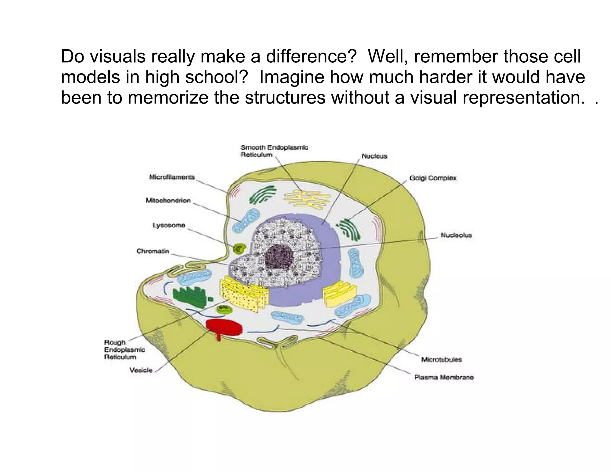 Do visuals really make a difference? Well, remember those cell
models in high school? Imagine how much harder it would have
been to memorize the structures without a visual representation.   .
 