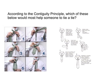 Contiguity Principle | PPT