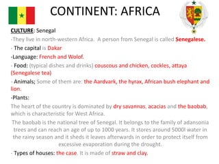 CONTINENT: AFRICA
CULTURE: Senegal
-They live in north-western Africa. A person from Senegal is called Senegalese.
- The capital is Dakar
-Language: French and Wolof.
- Food: (typical dishes and drinks) couscous and chicken, cockles, attaya
(Senegalese tea)
- Animals; Some of them are: the Aardvark, the hyrax, African bush elephant and
lion.
-Plants:
The heart of the country is dominated by dry savannas, acacias and the baobab,
which is characteristic for West Africa.
The baobab is the national tree of Senegal. It belongs to the family of adansonia
trees and can reach an age of up to 1000 years. It stores around 5000l water in
the rainy season and it sheds it leaves afterwards in order to protect itself from
excessive evaporation during the drought.
- Types of houses: the case. It is made of straw and clay.

 