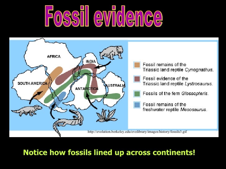 continental drift and plate tectonics andie continental drift vs plate tectonics venn diagram
