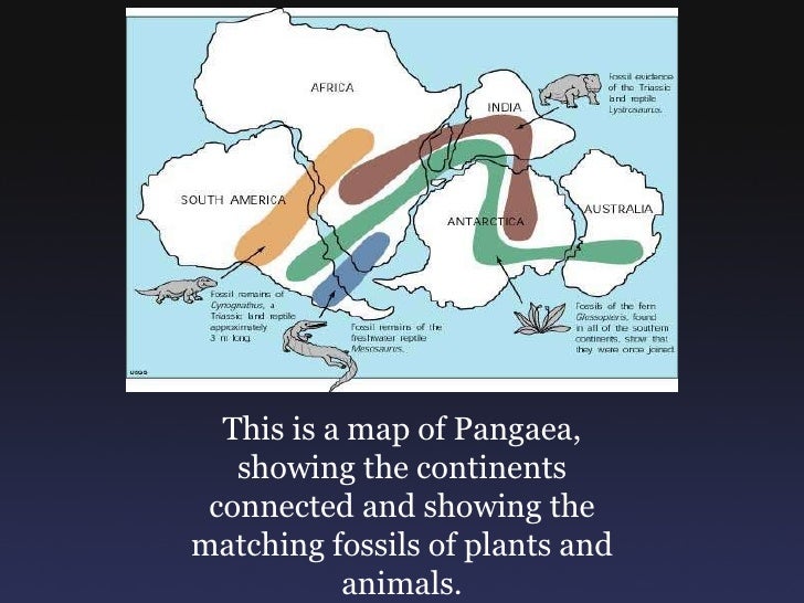 Continental Drift - 728x546 - jpeg Pangea Puzzle With Fossils