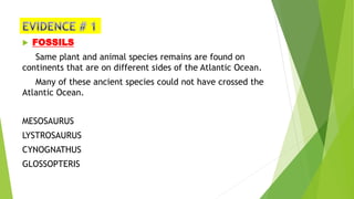  FOSSILS
Same plant and animal species remains are found on
continents that are on different sides of the Atlantic Ocean.
Many of these ancient species could not have crossed the
Atlantic Ocean.
MESOSAURUS
LYSTROSAURUS
CYNOGNATHUS
GLOSSOPTERIS
 