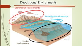 Continental depositional environment | PPTX