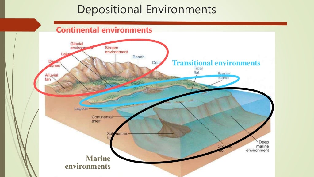 Continental depositional environment