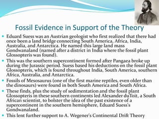 Fossil Evidence in Support of the Theory
 Eduard Suess was an Austrian geologist who first realized that there had
once been a land bridge connecting South America, Africa, India,
Australia, and Antarctica. He named this large land mass
Gondwanaland (named after a district in India where the fossil plant
Glossopteris was found).
 This was the southern supercontinent formed after Pangaea broke up
during the Jurassic period. Suess based his deductions on the fossil plant
Glossopteris, which is found throughout India, South America, southern
Africa, Australia, and Antarctica.
 Fossils of Mesosaurus (one of the first marine reptiles, even older than
the dinosaurs) were found in both South America and South Africa.
 These finds, plus the study of sedimentation and the fossil plant
Glossopteris in these southern continents led Alexander duToit, a South
African scientist, to bolster the idea of the past existence of a
supercontinent in the southern hemisphere, Eduard Suess's
Gondwanaland.
 This lent further support to A. Wegener's Continental Drift Theory
 