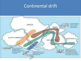 Continental drift
 