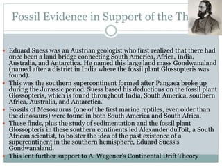 Fossil Evidence in Support of the Theory
 Eduard Suess was an Austrian geologist who first realized that there had
once been a land bridge connecting South America, Africa, India,
Australia, and Antarctica. He named this large land mass Gondwanaland
(named after a district in India where the fossil plant Glossopteris was
found).
 This was the southern supercontinent formed after Pangaea broke up
during the Jurassic period. Suess based his deductions on the fossil plant
Glossopteris, which is found throughout India, South America, southern
Africa, Australia, and Antarctica.
 Fossils of Mesosaurus (one of the first marine reptiles, even older than
the dinosaurs) were found in both South America and South Africa.
 These finds, plus the study of sedimentation and the fossil plant
Glossopteris in these southern continents led Alexander duToit, a South
African scientist, to bolster the idea of the past existence of a
supercontinent in the southern hemisphere, Eduard Suess's
Gondwanaland.
 This lent further support to A. Wegener's Continental Drift Theory
 