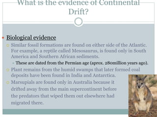 What is the evidence of Continental
Drift?
 Biological evidence
 Similar fossil formations are found on either side of the Atlantic.
For example, a reptile called Mesosaurus, is found only in South
America and Southern African sediments.
 These are dated from the Permian age (aprox. 280million years ago).
 Plant remains from the humid swamps that later formed coal
deposits have been found in India and Antarctica.
 Marsupials are found only in Australia because it
drifted away from the main supercontinent before
the predators that wiped them out elsewhere had
migrated there.
 