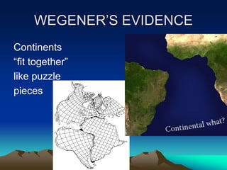Continents
“fit together”
like puzzle
pieces
WEGENER’S EVIDENCE
 