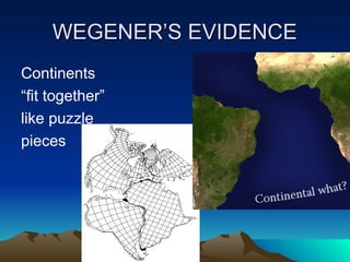 Continents
“fit together”
like puzzle
pieces
WEGENER’S EVIDENCE
WEGENER’S EVIDENCE
 