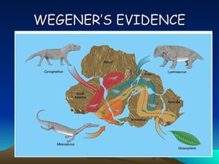 WEGENER’S EVIDENCE
WEGENER’S EVIDENCE
 
